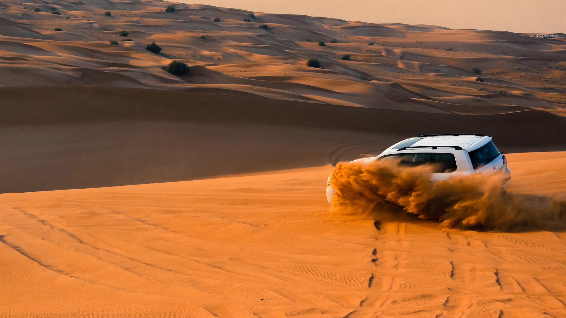 Desert safari: in the footsteps of the sun and sandy peaks
