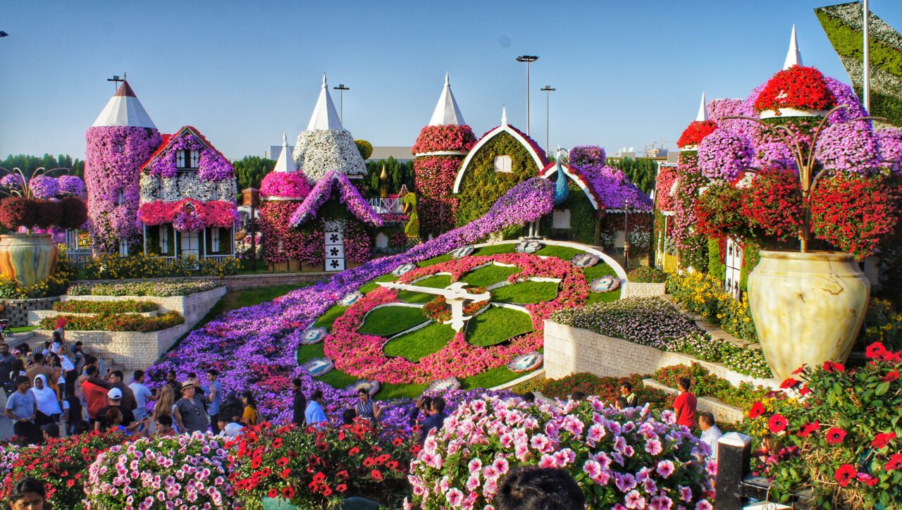 dubai miracle garden photo