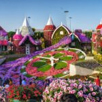 dubai miracle garden photo